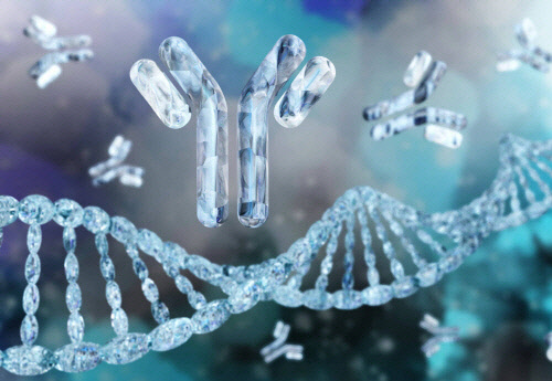 사진= 후니즈. 제공